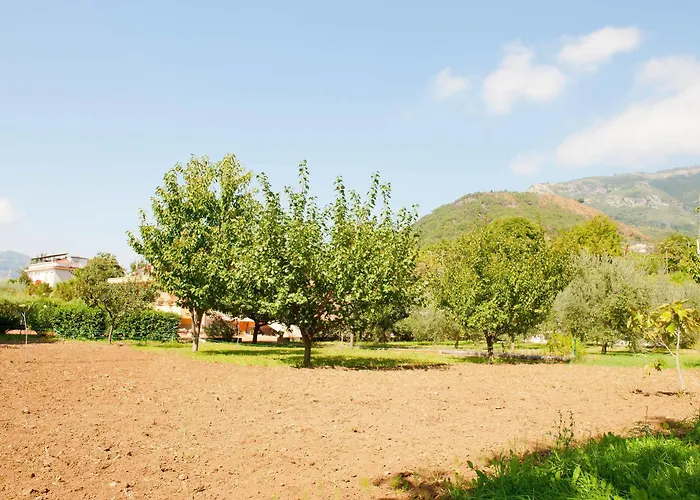 Otel Luca 3*