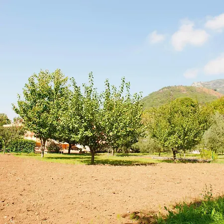 Hotell Luca 3*