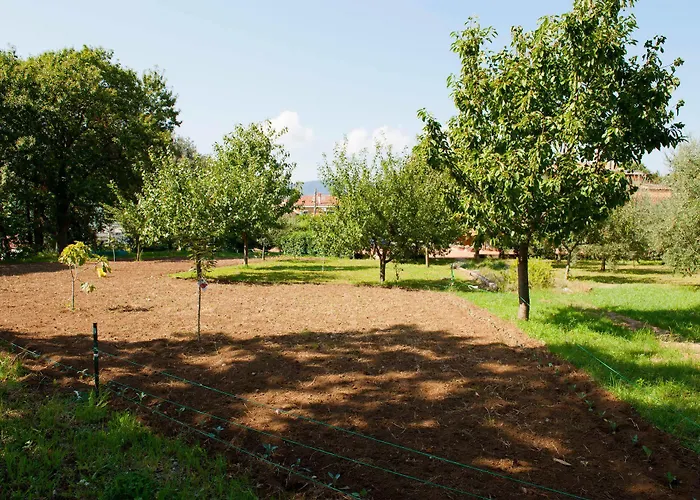 Szálloda Luca Salerno